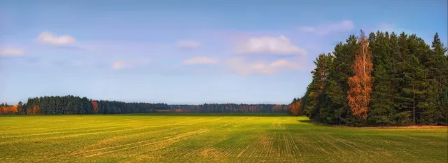 Земельный участок 8 Га сельхоз. назн. собств.