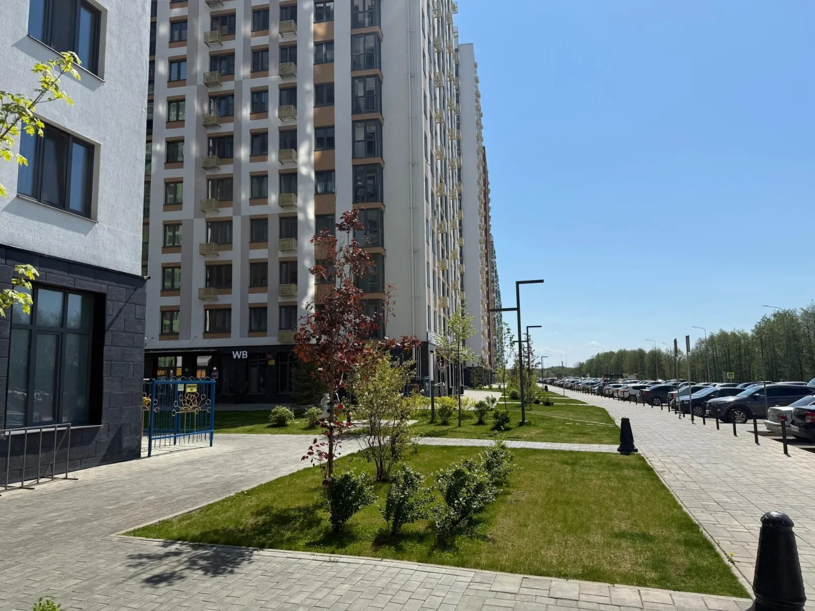 Торговое 54,45 м², 1 этаж, Яркий